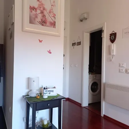 Silva Biograd Na Moru
