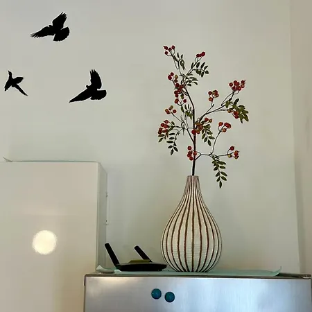 Silva * Biograd na Moru