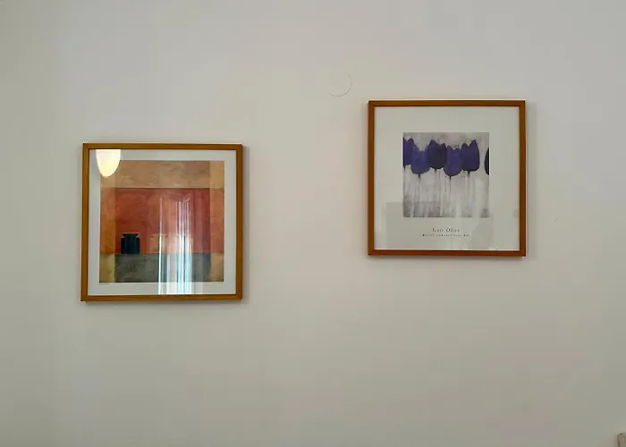 Silva * ביוגראד נה מורו