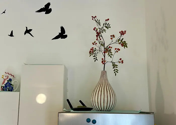 Silva * ביוגראד נה מורו