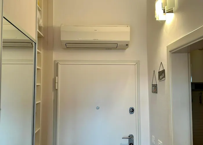 Silva * ביוגראד נה מורו