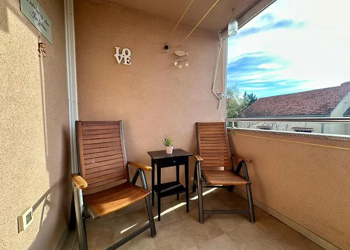 Silva ביוגראד נה מורו