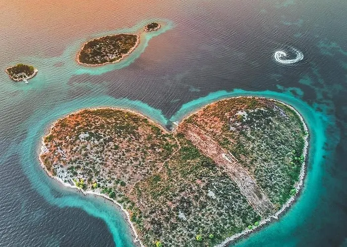 Silva * ביוגראד נה מורו