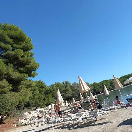 Silva Biograd Na Moru