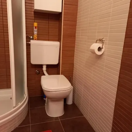 Silva Apartment *